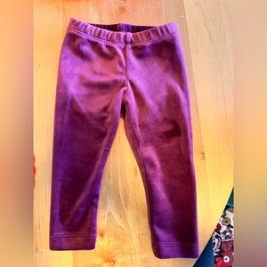 Tea Collection purple velour pants sz 9-12mos